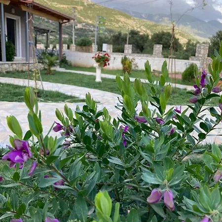 Lani Luxury كيبارو