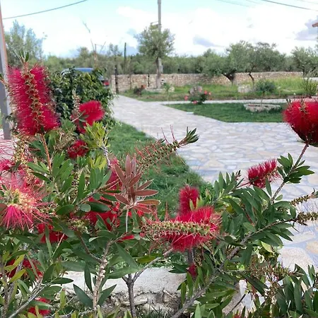 Lani Luxury كيبارو