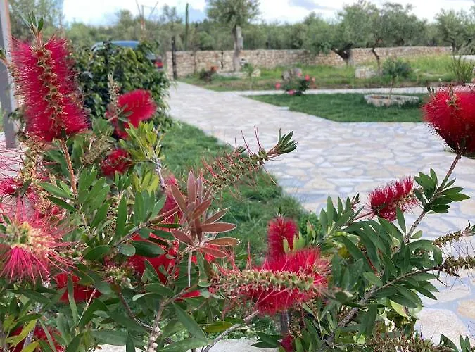 Lani Luxury كيبارو