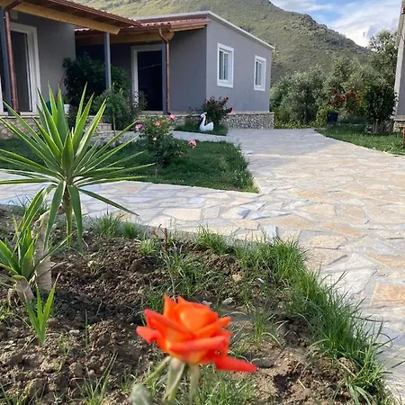 Lani Luxury Qeparo