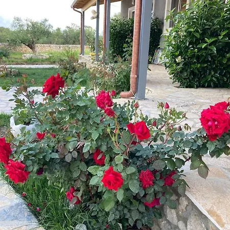 Lani Luxury Apartment