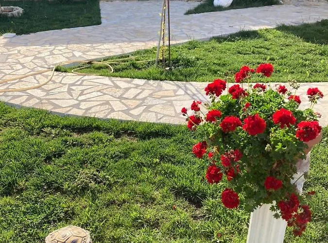 公寓 Lani Luxury *