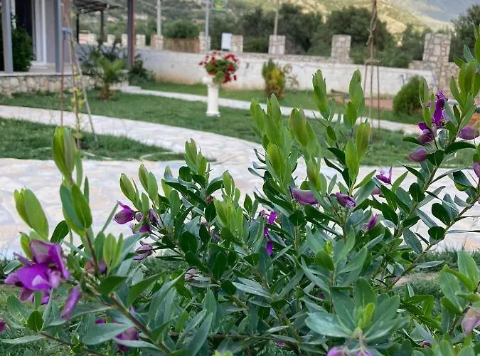 Lani Luxury 科帕罗